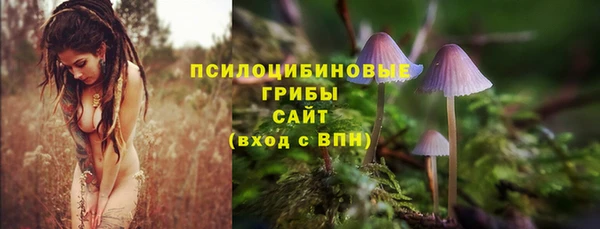 каннабис Абаза