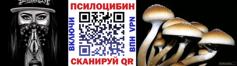 продажа наркотиков Зея Псилоцибиновые грибы GOLDEN TEACHER
